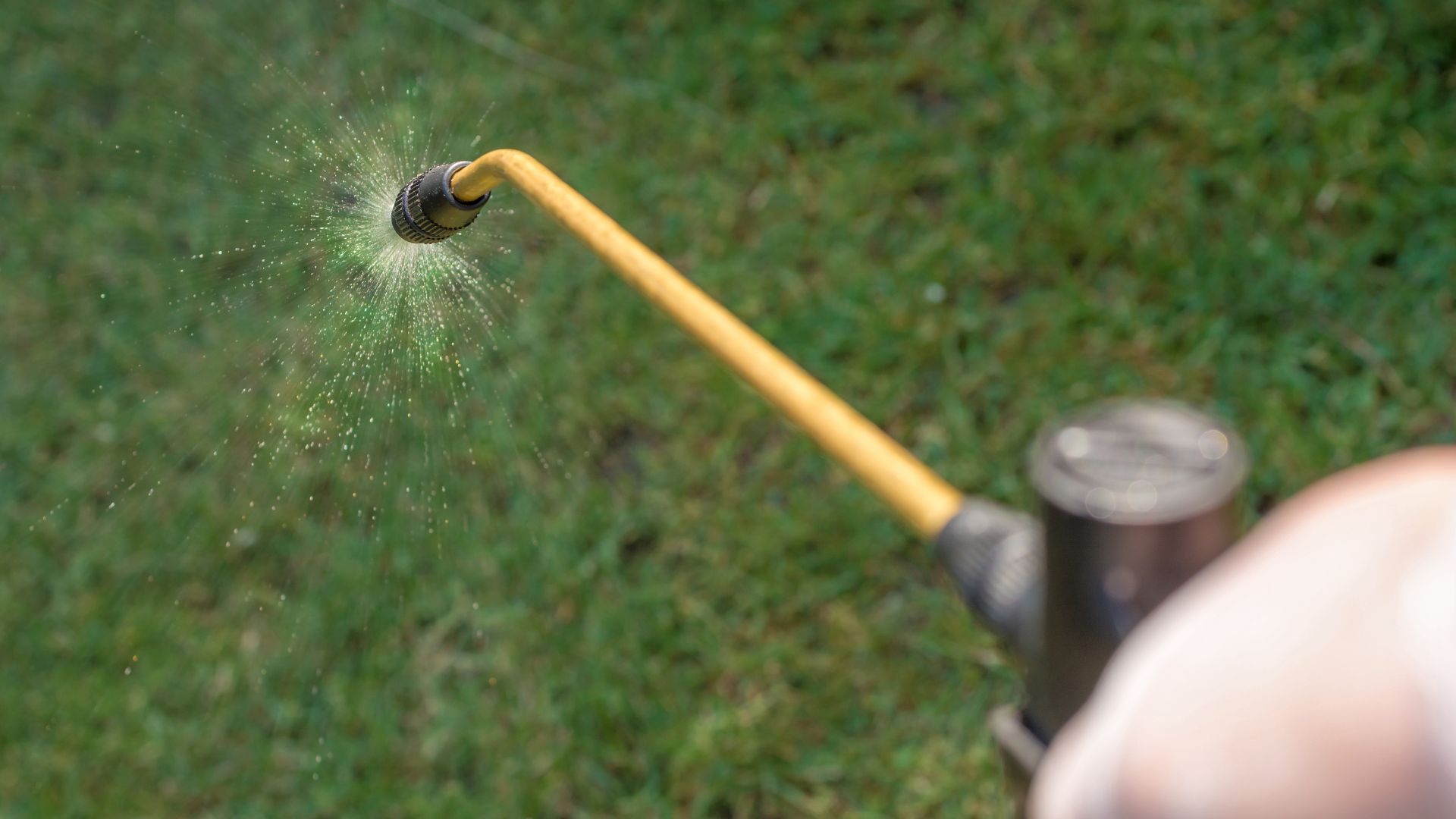 Yellow garden hose spraying water in a sparkling mist over green grass